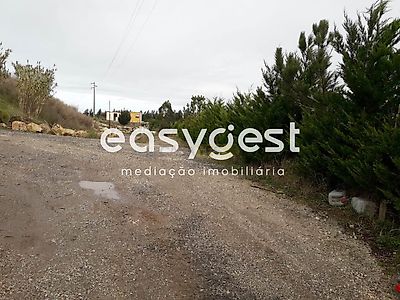 listing-picture-0