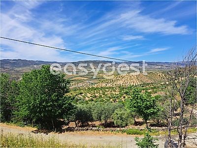 listing-picture-0