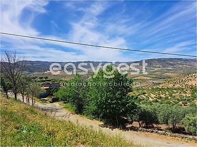 listing-picture-0