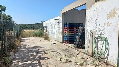 listing-picture-0