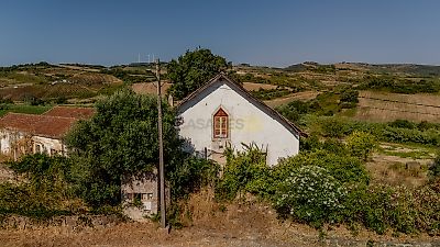 listing-picture-0