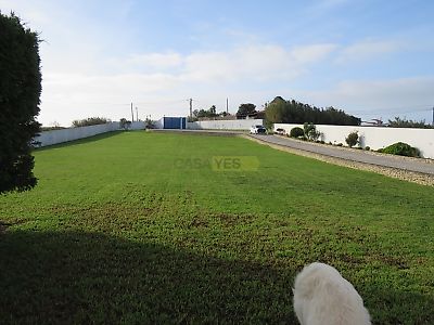 listing-picture-0