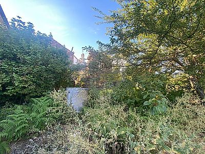 listing-picture-0