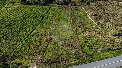 listing-picture-0