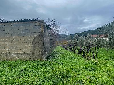 listing-picture-0