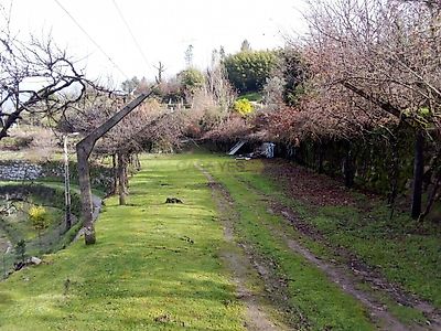 listing-picture-0