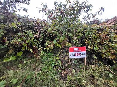 listing-picture-0
