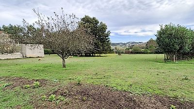 listing-picture-0