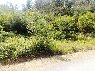 listing-picture-0