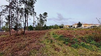 listing-picture-0