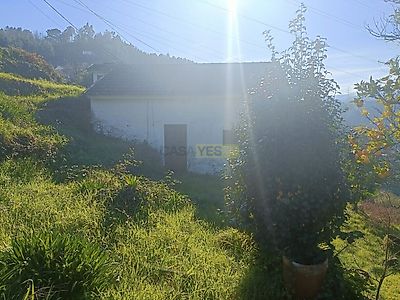 listing-picture-0
