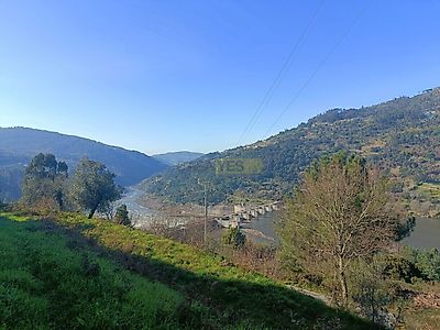 listing-picture-0