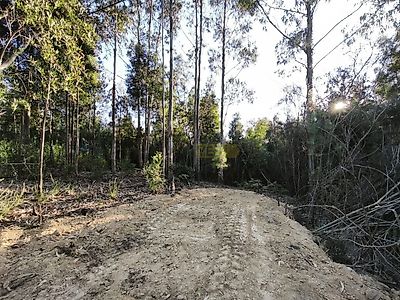 listing-picture-0