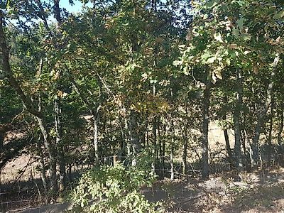 listing-picture-0
