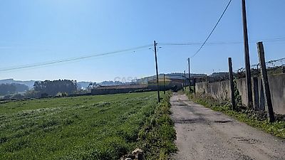 listing-picture-0