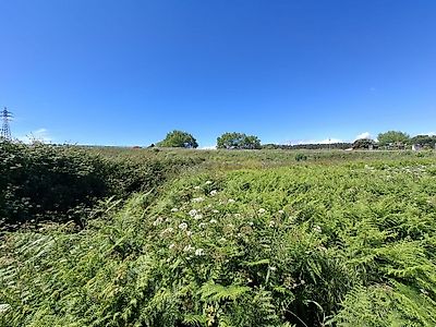listing-picture-0