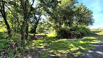 listing-picture-0