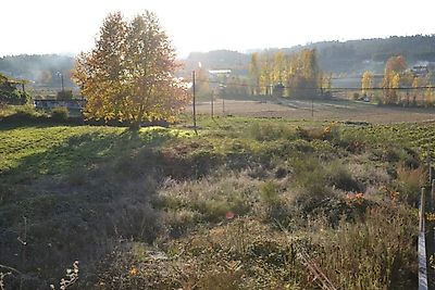 listing-picture-0