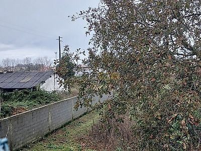 listing-picture-0