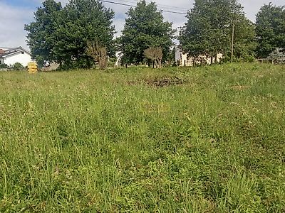 listing-picture-0