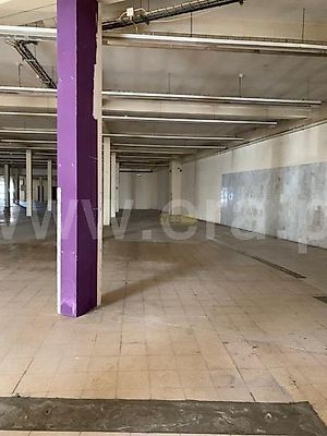 listing-picture-0