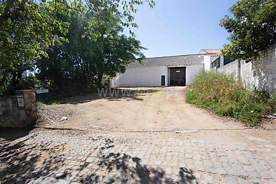 listing-picture-0