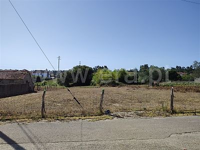 listing-picture-0