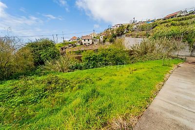 listing-picture-0