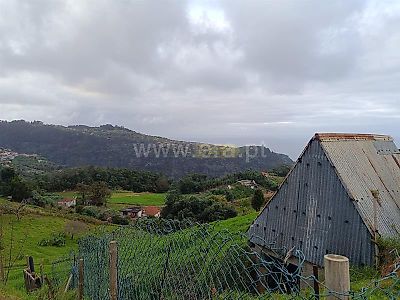 listing-picture-0