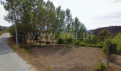 listing-picture-0