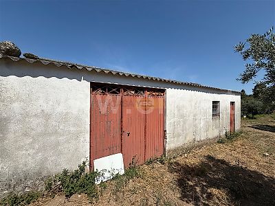listing-picture-0