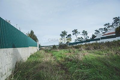listing-picture-0
