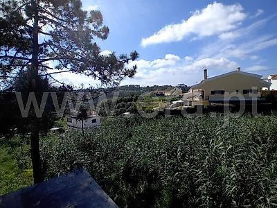 listing-picture-0