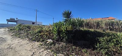 listing-picture-0