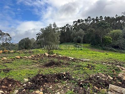listing-picture-0
