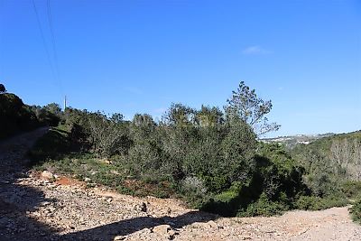 listing-picture-0