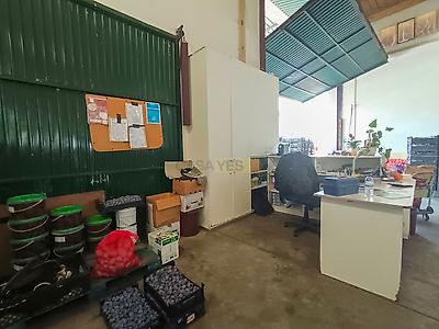 listing-picture-0