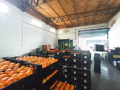 listing-picture-0