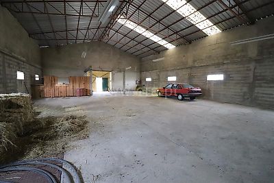 listing-picture-0