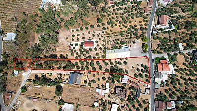 listing-picture-0