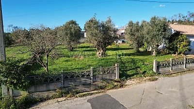 listing-picture-0