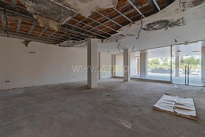listing-picture-0