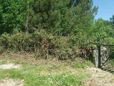 listing-picture-0