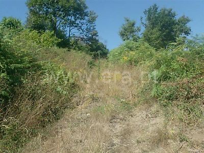 listing-picture-0