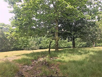 listing-picture-0