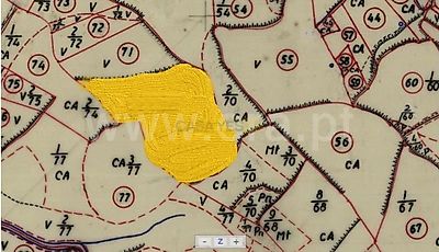 listing-picture-0