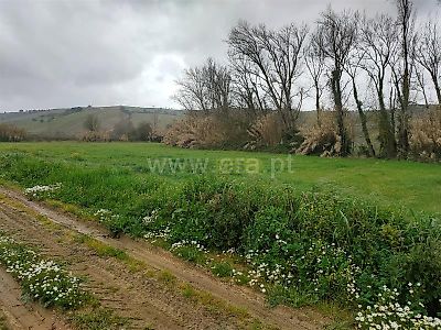 listing-picture-0