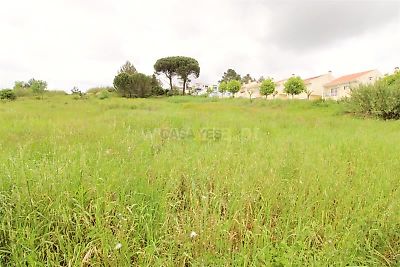 listing-picture-0