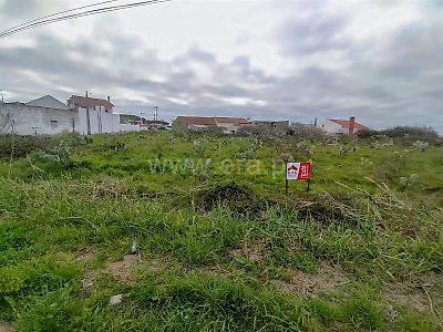 listing-picture-0