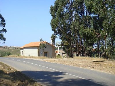 listing-picture-0